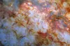Телескоп Hubble зробив нове фото галактики Сигара