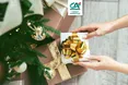 Креді Агріколь допомагає здійснювати ваші новорічні мрії