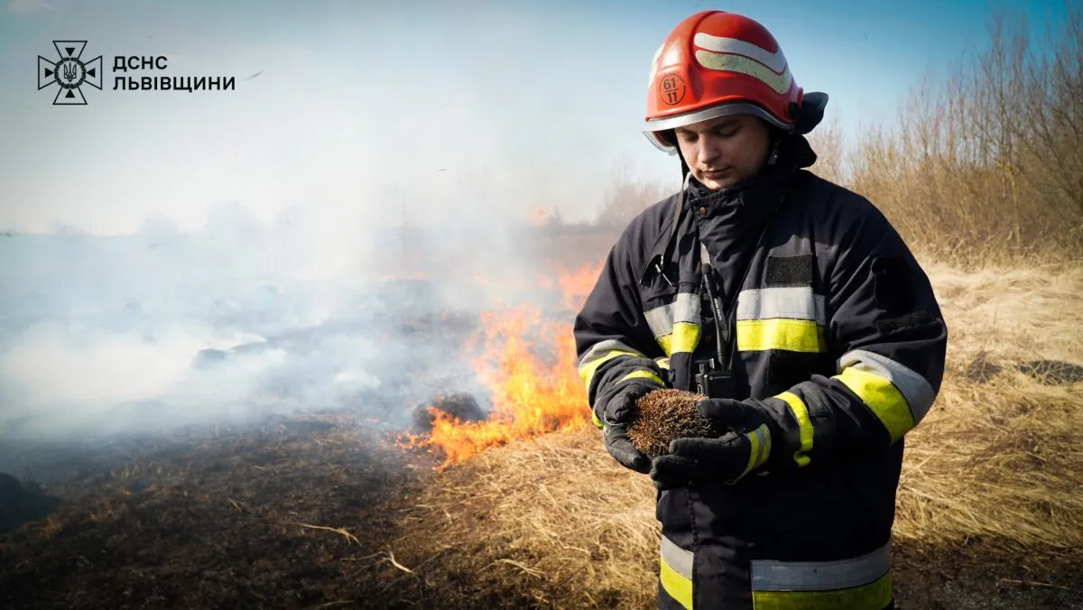На попелищі пожежники знайшли ледь живого їжачка. Фото ГУ ДСНС у Львівській області.