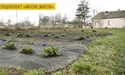 Картоплю та огірки вирощує в… сухому листі