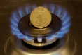 Тарифи на газ для населення можуть підвищити уже в першому кварталі
