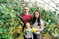 У заглибленій теплиці - справжні «тропіки»