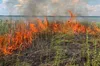 В Яворівському районі вогонь знищив суху траву та чагарник на площі 500 м²
