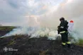 У Слов’янську пожежа сухостою ледь не знищила житлову вулицю