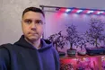 Дерева у мініатюрі