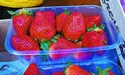 Свіжа іспанська полуниця — 180 гривень за кіло, з пліснявою — 100...