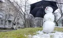 Аномально тепла зима шкідлива для здоров’я