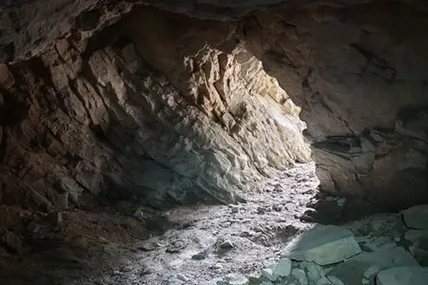 Фото: ТСН