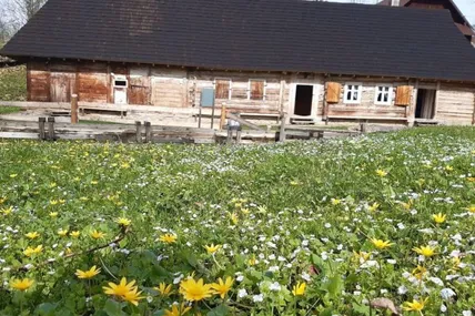 Фото із соцмереж Тустані