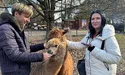 «За пів року у нас народилися троє оленят»