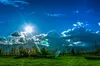 Погода в Україні 2 травня 2024 року