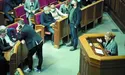 «Арахамія в очікуванні копняка»