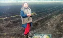 Спаржа любить тепло і вологу