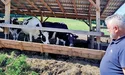 Монастирські корови дають високі надої