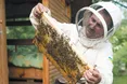 Карпатський мед охоче беруть туристи