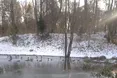 Жив з качками в курортному парку. А полетів один