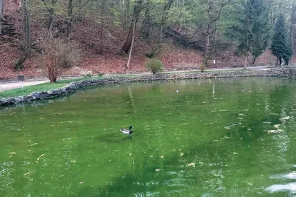 Як я гуляла на Погулянці&hellip;