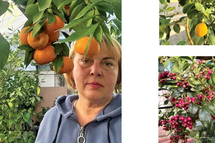 У Наталії Савельєвої особливо добре ростуть цитрусові. Фото з архіву Наталії Савельєвої