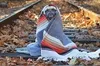Погода 14 листопада: в Україну йдуть похолодання