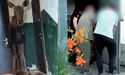Набридло лосеві жити на болотах — заглянув у під'їзд столичної «висотки»