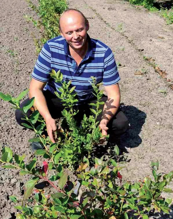 До мобілізації Михайло Костюк старанно доглядав кущі лохини