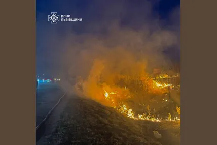Фото: ДСНС Львівщини