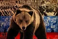 Ведмеді теж бувають і паперові, і схожі на обскубану курку…
