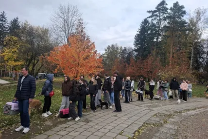 Більше сотні котів та собак безкоштовно провакцинували від сказу на Левандівці