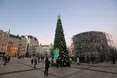 Українська ялинка незламності увійшла до п’ятірки найкращих