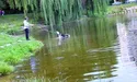 Засмагати можна, купатися — зась!