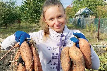 Окремі плоди солодкої картоплі Алли Данилової заважують понад 4 кг. Фото з архіву Алли Данилової.
