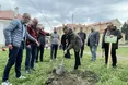 Липка у Сколе — на згадку про Івана Франка і Соломію Крушельницьку