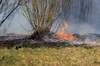 На території Львівської області за добу сталося 20 пожеж в екосистемах: рятувальники закликають не спалювати сухостій