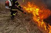 37 пожеж за добу: на Львівщині тривають самовільні підпали