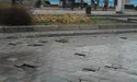 У дороги Львова «вбухають» 280 мільйонів гривень