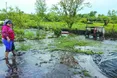 «Нас заливало, а сусіди мовчки за цим спостерігали»