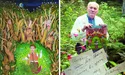 Про душевний презент «на Івана» — від народного генія Івана Сколоздри
