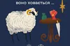 Ваші речі можуть подарувати тваринам новий шанс