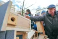 «Житлове питання» для птахів у Кракові вирішено