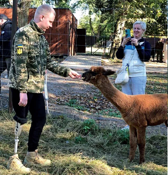 Біля альпак військові відчувають спокій