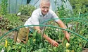 Із доглянутих грядок — висока віддача