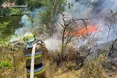 Масштабні пожежі вирують на Миколаївщині: горіли будинки, поля та автівки
