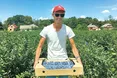 Вирощують лохину всією родиною