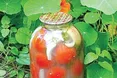 Помідори з яблуками в банках