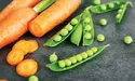 Продукти, що сповільнюють старіння