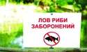 Ловити рибу заборонено: нерестова пора