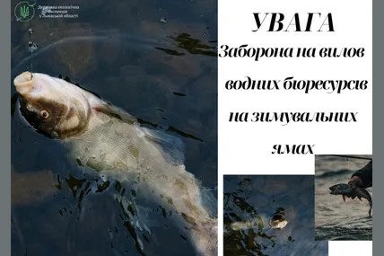 Фото: Державна екологічна інспекція у Львівській області