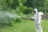 У Львові 22−23 вересня проведуть акарицидну обробку парків: мешканців просять утриматися від відвідувань