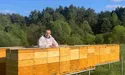 Бджолопад на Бродівщині