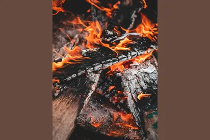 Фото: Pexels